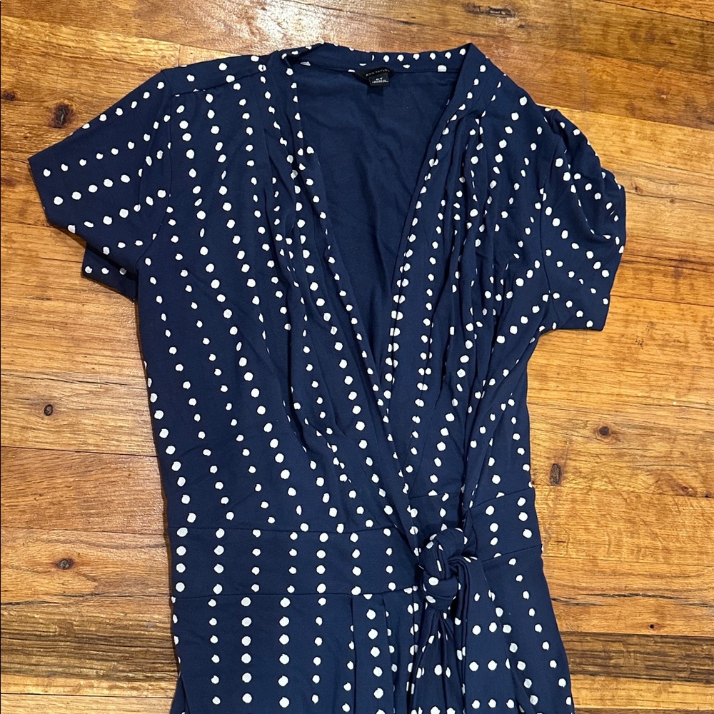 Ann Taylor Blue Polka Dot Wrap Dress - Picture 8 of 12